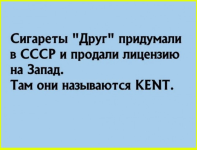 image (3722).png