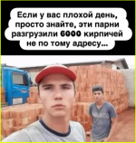 image (3783).png