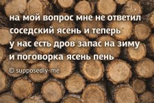 1000004747.jpg
