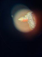20260602_133831.jpg