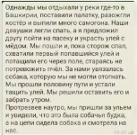 Вот такие пчёлы.png