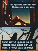 8da4690cc2a44a40bb350b37d364d244.png