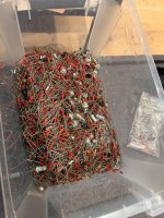 IMG_1974.jpeg