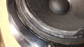 IMG_20260802_173630_1.jpg