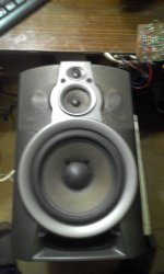 20200331_180456.jpg