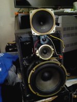IMG_20200402_003733.jpg
