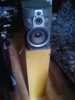 IMG_20200422_150433.jpg