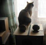 IMG_1991.jpg