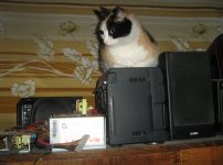 IMG_1992.jpg