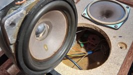 IMG_20220119_154714.jpg