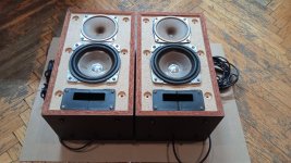 IMG_20220119_154309.jpg