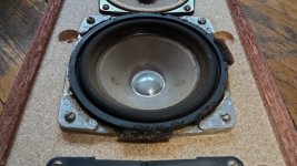 IMG_20220119_120802.jpg