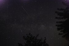_DSC6858.JPG