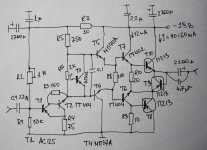Германиевый ус
.JPG