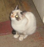 IMG_2024.jpg