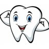 33tooth