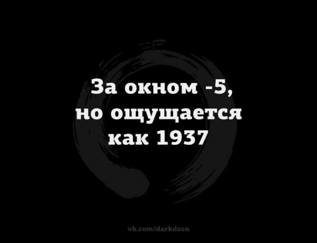 20272048.jpg