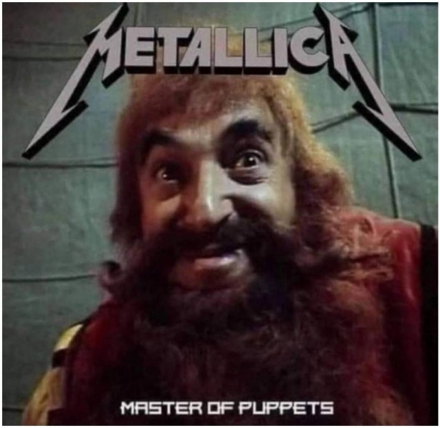 20558018.jpg